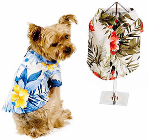 Dog-Clothes-For-Summer-Dog-Shirt.jpg
